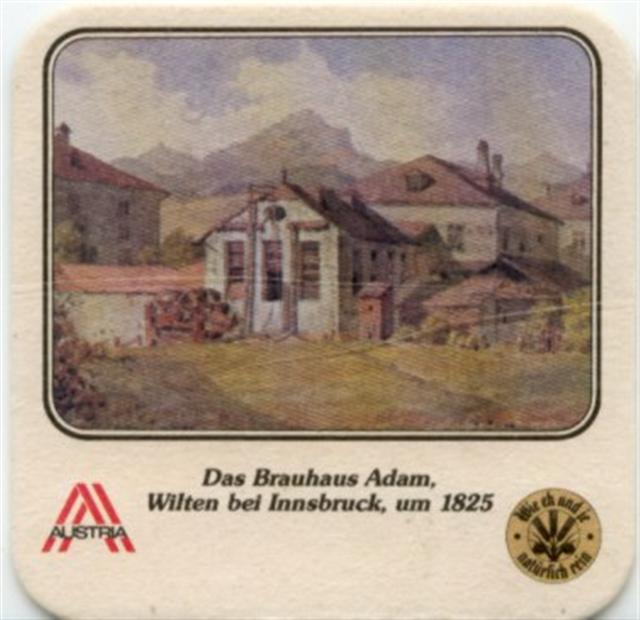 innsbruck t-a adam meister 2b (quad185-brauhaus 1825) 
